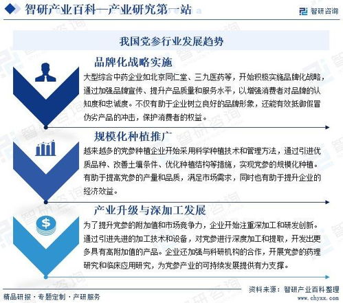 黨參行業(yè)分析報(bào)告 市場(chǎng)規(guī)模、供需態(tài)勢(shì)、競(jìng)爭(zhēng)格局及投融資動(dòng)態(tài)解析